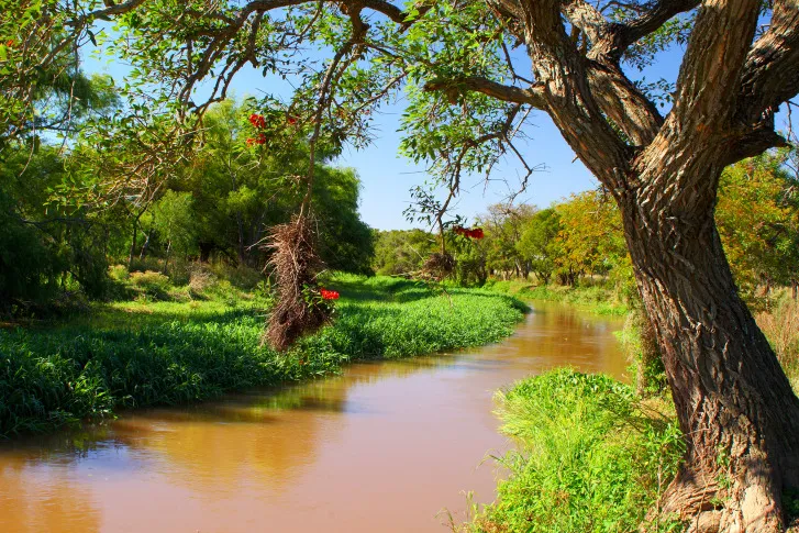 WhatsApp Image 2023-08-12 at 19.52.59 (1)