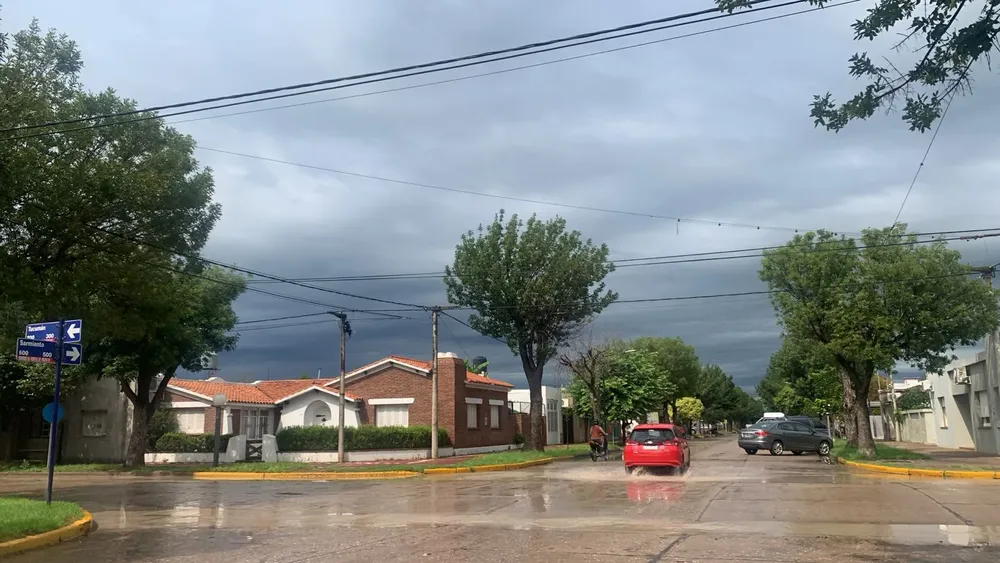 Imagen de WhatsApp 2024-03-14 a las 12.10.57_cb9750a2