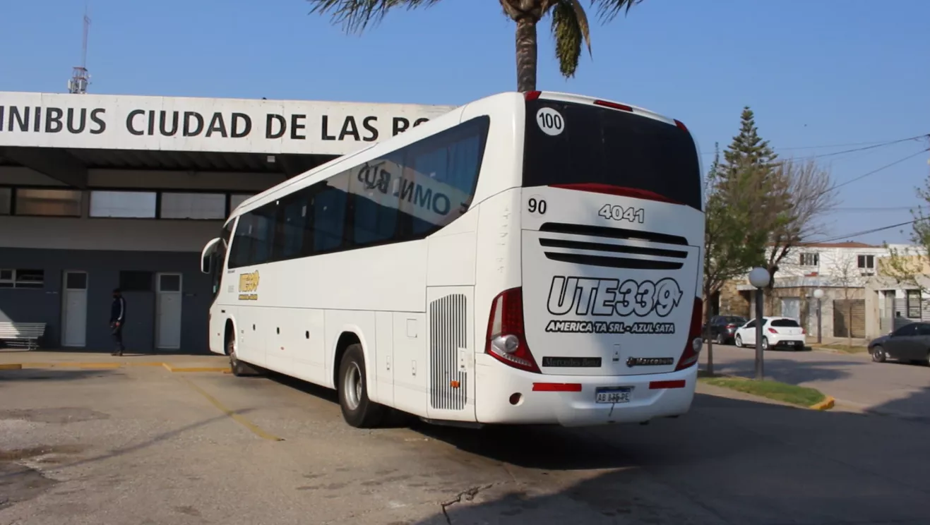 colectivo