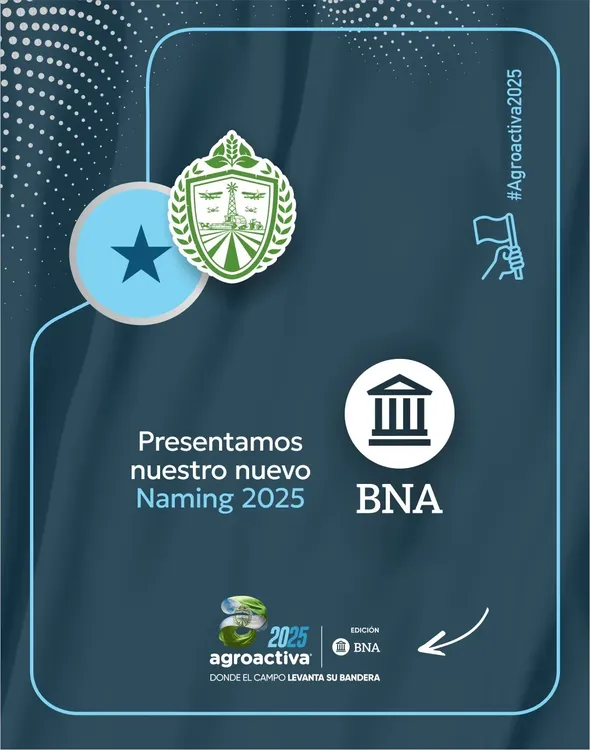 WhatsApp Image 2025-04-11 at 15.19.58