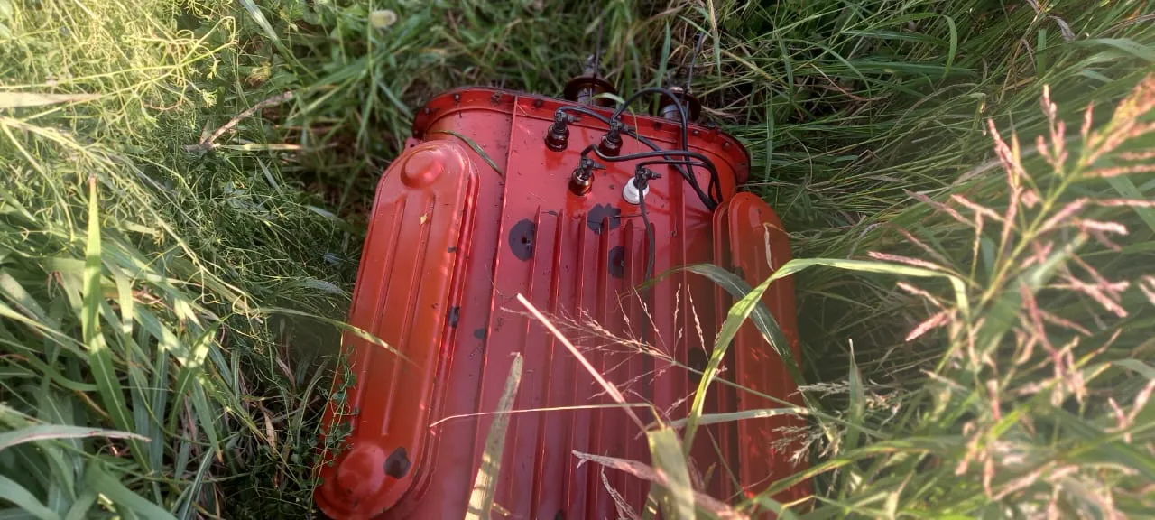 Imagen de WhatsApp 2023-12-13 a las 09.30.57_4ab15107