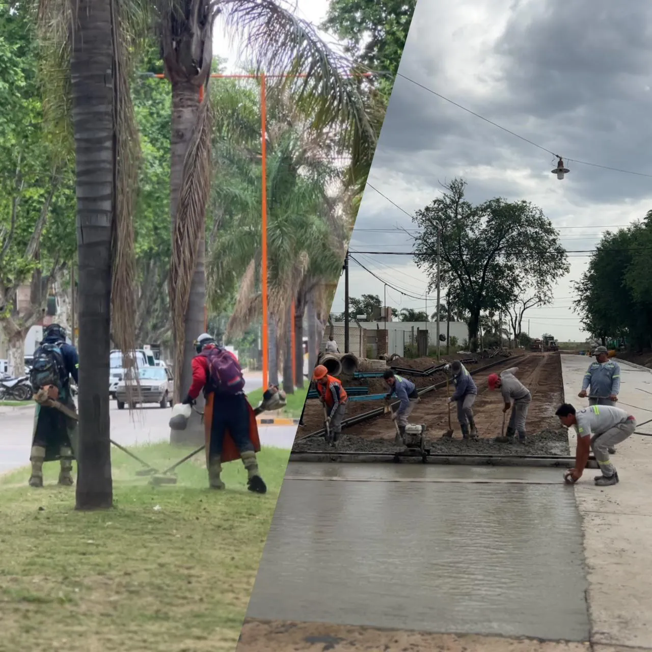 WhatsApp Image 2025-10-23 at 07.43.16