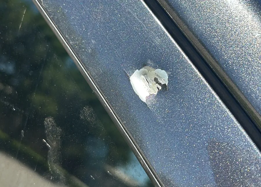 IMG-20251125-WA0013 (1)