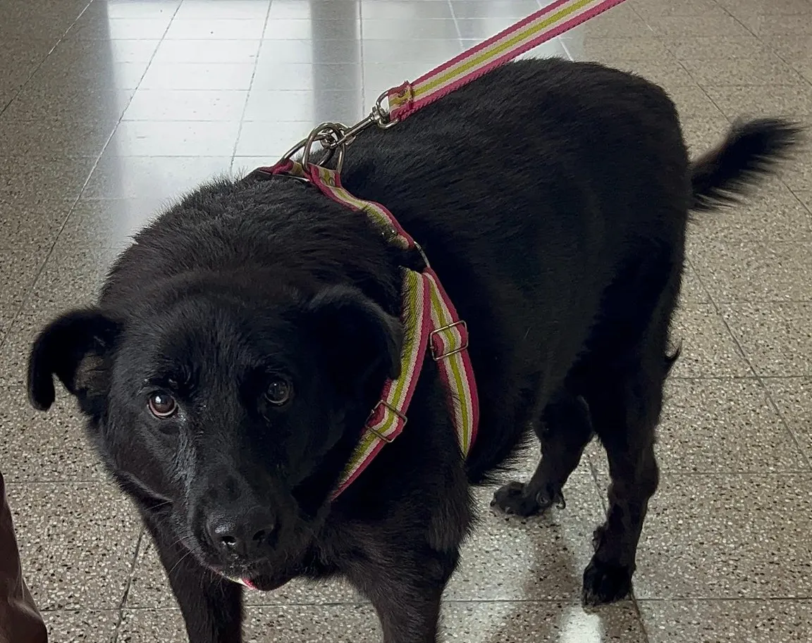 603909970_1273632941459117_8333276329577892571_n (1)