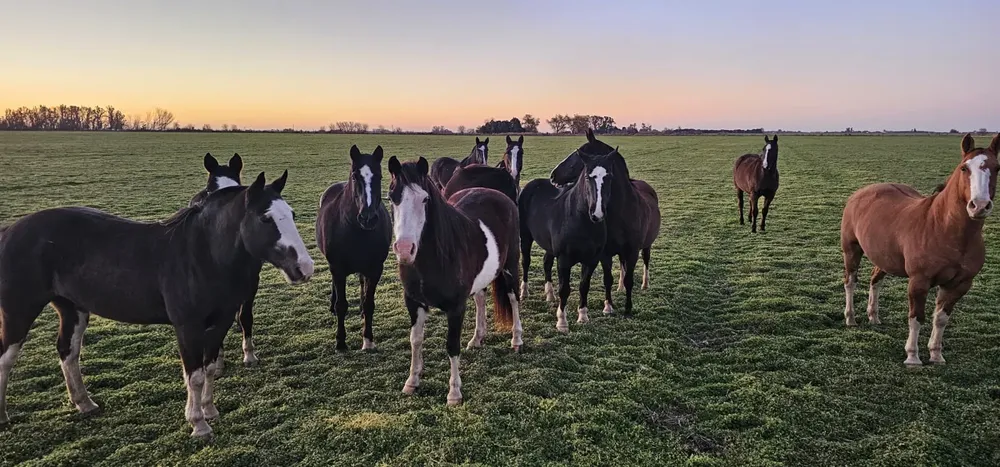 Imagen de WhatsApp 2025-07-14 a las 11.53.26_4cf84422