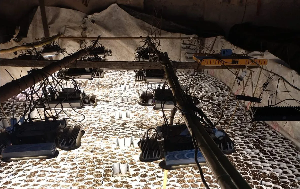 2025-09-14NID_284074O_4