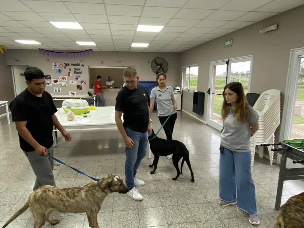 468909468_969558118533269_4877775690705936826_n