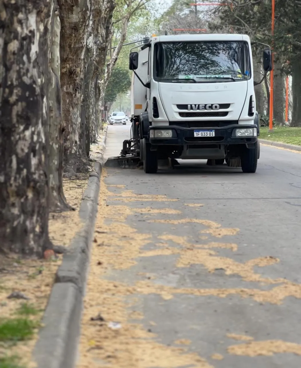 WhatsApp Image 2025-09-22 at 07.57.41