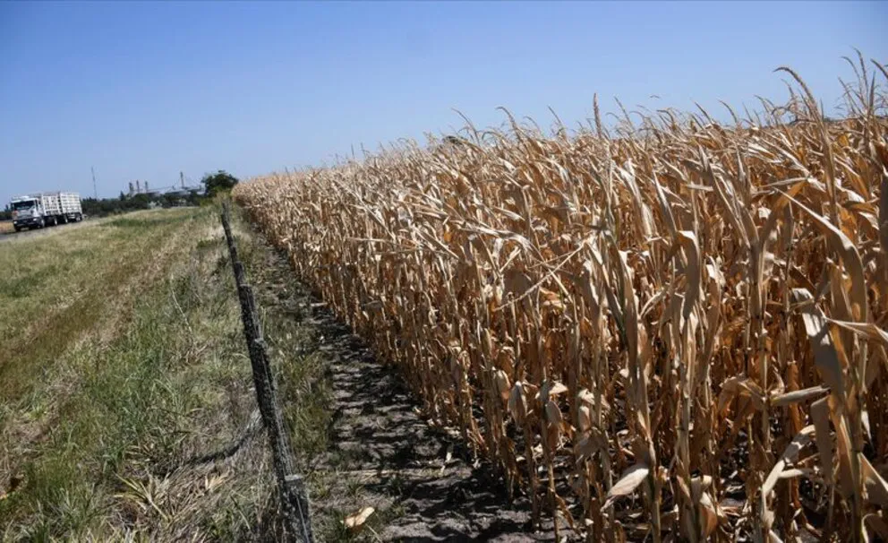 HQ7L7HEUVWSEYYJAFV63QDDJG4