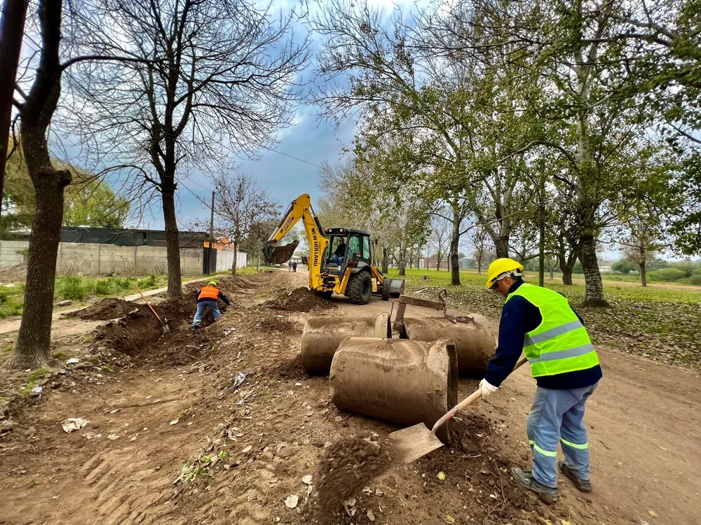 WhatsApp Image 2023-06-27 at 10.10.34