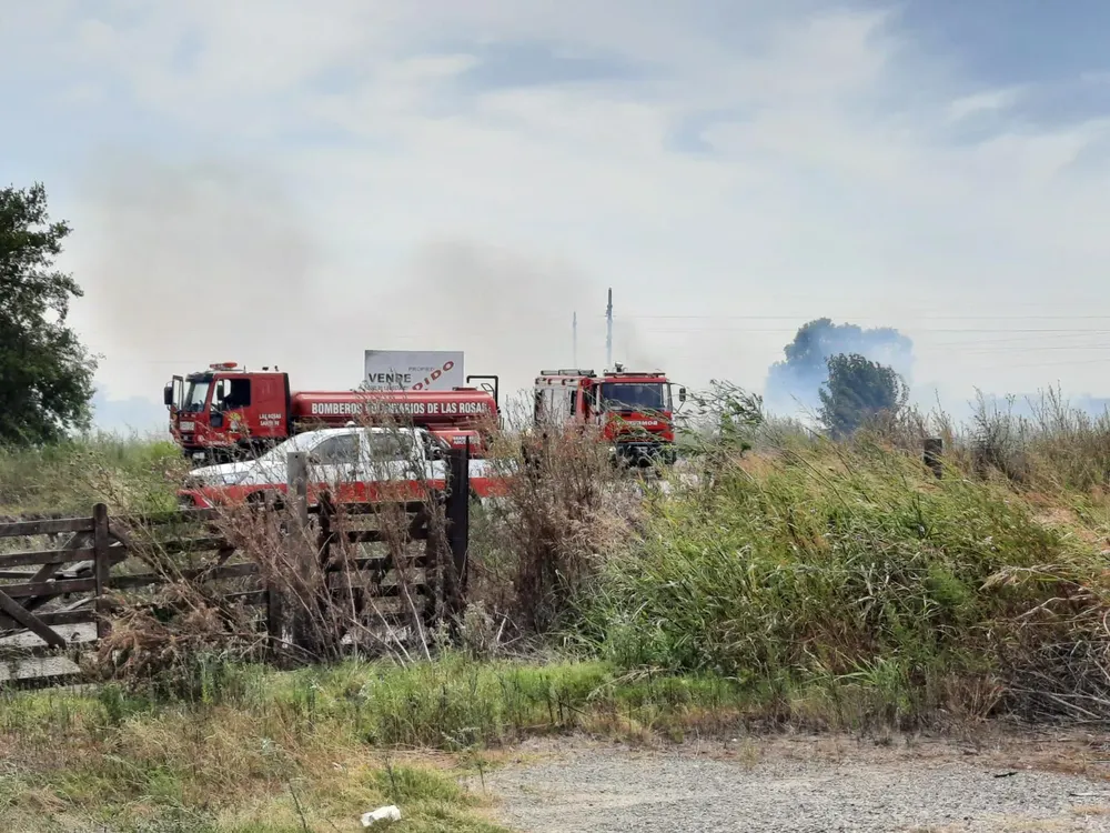 WhatsApp Image 2026-02-04 at 13.18.17