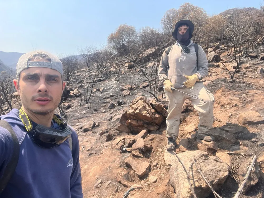 Imagen de WhatsApp 2024-09-27 a las 09.46.00_953134f9