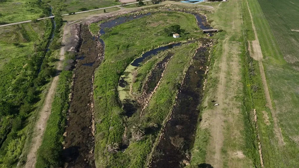 WhatsApp Image 2026-01-30 at 23.29.58